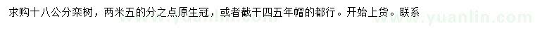 求購18公分欒樹