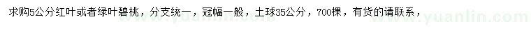 求購5公分紅葉或者綠葉碧桃