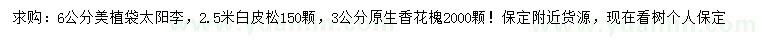 求購太陽李、白皮松、香花槐