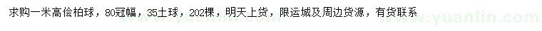 求購高1米檜柏球