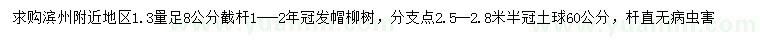 求購1.3米量8公分柳樹