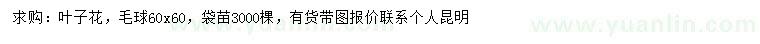 求購60公分葉子花毛球