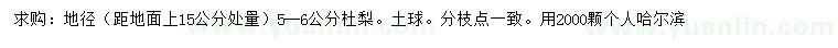 求購(gòu)15公分處量5-6公分杜梨