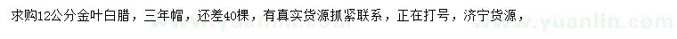 求購12公分金葉白蠟