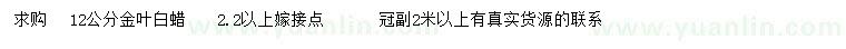 求購12公分金葉白蠟