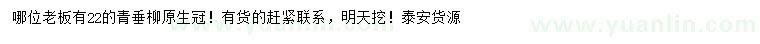 求購22公分青垂柳