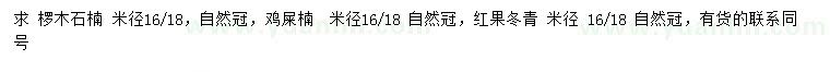 求購欏木石楠、雞屎楠、紅果冬青