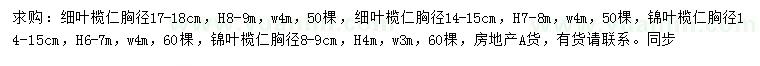 求購(gòu)胸徑14-15、17-18公分細(xì)葉欖仁、胸徑8-9、14-15公分錦葉欖仁