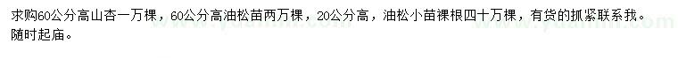 求購高60公分山杏、高20、60公分油松