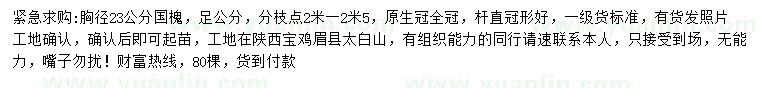 求購(gòu)胸徑23公分國(guó)槐
