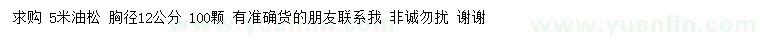 求購5米油松