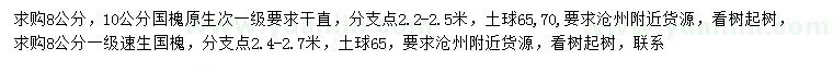 求購(gòu)8、10公分國(guó)槐、8公分速生國(guó)槐