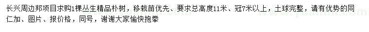 求購叢生樸樹