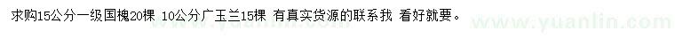 求購15公分國槐、10公分廣玉蘭