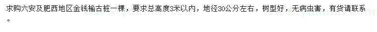 求購地徑30公分金錢榆