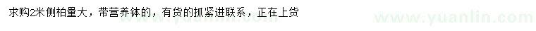 求購2米側(cè)柏