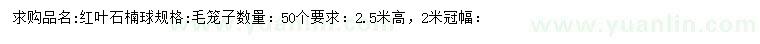 求購(gòu)高2.5米紅葉石楠球