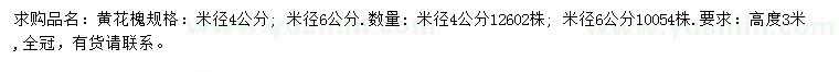 求購米徑4、6公分黃花槐