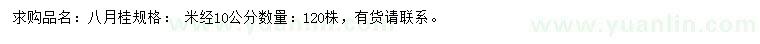 求購米徑10公分八月桂