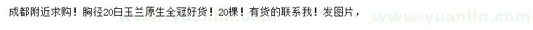 求購胸徑20公分白玉蘭