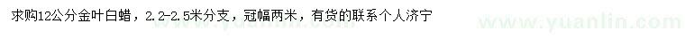 求購12公分金葉白蠟