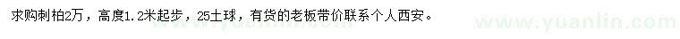 求購(gòu)高1.2米以上刺柏