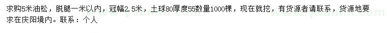 求購(gòu)5米油松