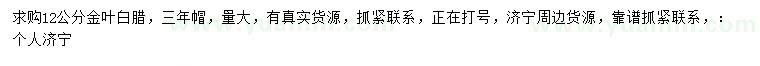 求購12公分金葉白臘