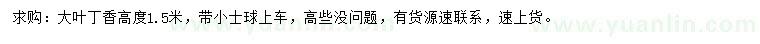 求購(gòu)高1.5米大葉丁香