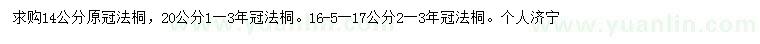 求購14、16、17、20公分法桐