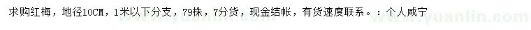 求購地徑10公分紅梅