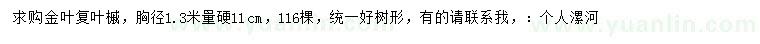 求購1.3米量11公分金葉復(fù)葉槭