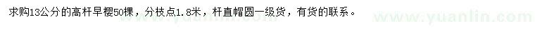 求購13公分早櫻