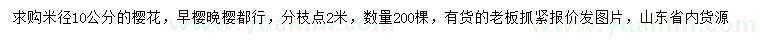 求購米徑10公分櫻花