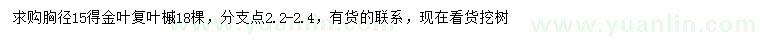 求購胸徑15公分金葉復(fù)葉槭
