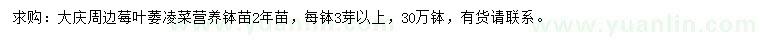 求購莓葉委陵菜