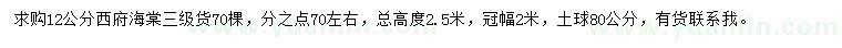 求購12公分西府海棠