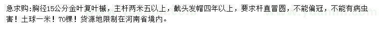 求購胸徑15公分金葉復(fù)葉槭