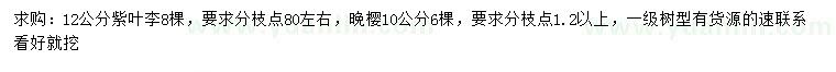 求購12公分紫葉李、10公分晚櫻