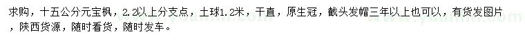 求購15公分元寶楓