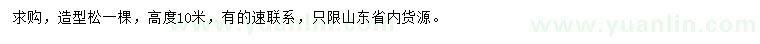 求購高10米造型松