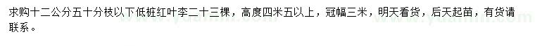 求購12公分紅葉李