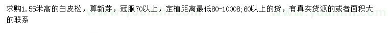 求購高1.55米白皮松