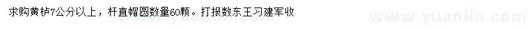 求購7公分以上黃櫨