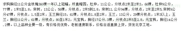 求購金枝槐、杜仲、欒樹等
