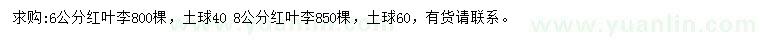 求購(gòu)6、8公分紅葉李