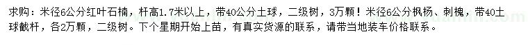 求購紅葉石楠、楓楊、刺槐