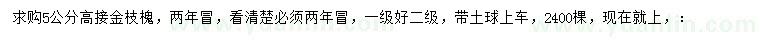求購5公分高接金枝槐