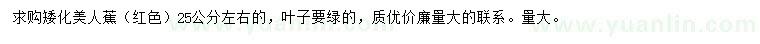 求購25公分左右美人蕉