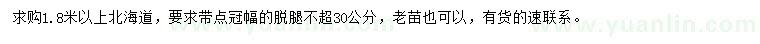 求購1.8米以上北海道黃楊